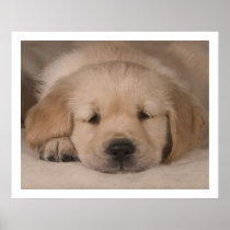 Puppy Love. Poster by cARTerART