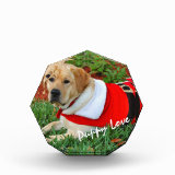 Puppy Love - Puppy in Santa Outfit Award