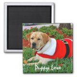 Puppy Love - Puppy in Santa Outfit Magnets