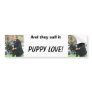 Puppy Love, Puppy Love, And they call it, Puppy... Bumper Sticker