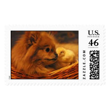Puppy love stamp