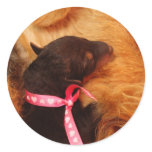 Puppy Love Round Sticker