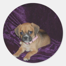 Puppy Love Stickers