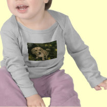 Puppy Love t-shirts