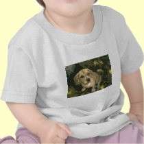 Puppy Love t-shirts
