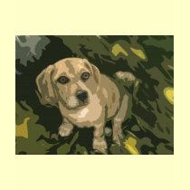 Puppy Love t-shirts