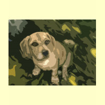 Puppy Love t-shirts