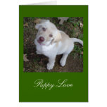 Puppy Love Yellow Labrador Retriever Greeting Card