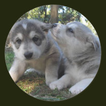 Puppy luv stickers