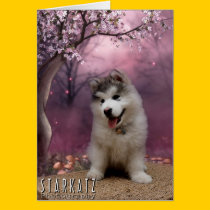~Puppy Magic~ cards