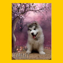 Puppy Magic posters
