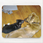 Puppy Meets New Brother Mouse Pad