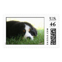 Puppy Mia Postage