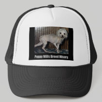 Puppy Mill Hat