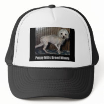 Puppy Mill Hat by Prisonersofgreed Puppy Mill Hat