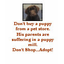 puppy mill protest t-shirts