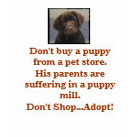 puppy mill protest t-shirts