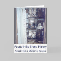 Puppy Mills Breed Misery Card