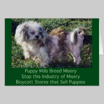 Puppy Mills Breed Misery Card