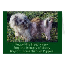 Puppy Mills Breed Misery Card by Prisonersofgreed Puppy Mills Breed Misery Card