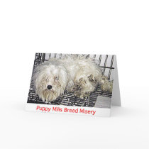 Puppy Mills Breed Misery Card by Prisonersofgreed Puppy Mills Breed Misery Card