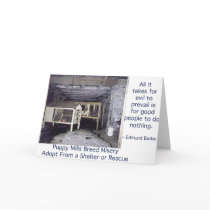 Puppy Mills Breed Misery Card