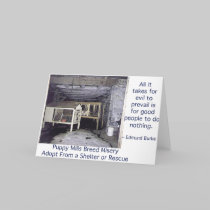 Puppy Mills Breed Misery Card