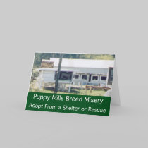 Puppy Mills Breed Misery Card