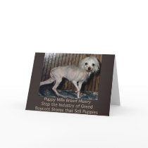 Puppy Mills Breed Misery Card by Prisonersofgreed Puppy Mills Breed Misery Card