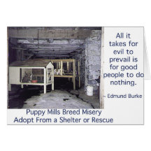 Puppy Mills Breed Misery Card