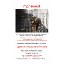 Puppy Mills Breed Misery Poster posters by Prisonersofgreed Puppy Mills Breed Misery Poster posters