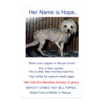 Puppy Mills Breed Misery Poster posters by Prisonersofgreed Puppy Mills Breed Misery Poster posters