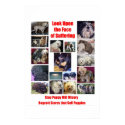 Puppy Mills Breed Misery Poster posters by Prisonersofgreed Puppy Mills Breed Misery Poster posters
