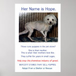 Puppy Mills Breed Misery Poster
