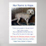 Puppy Mills Breed Misery Poster