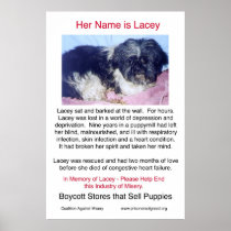 Puppy Mills Breed Misery Poster