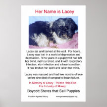 Puppy Mills Breed Misery Poster