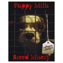 Puppy Mills Flyer
