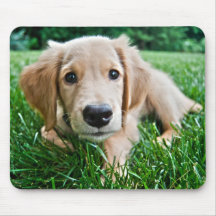 Puppy Mouse Pads