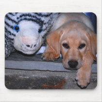 Puppy mousepads by traveller9 Puppy mousepads