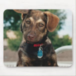 Puppy Mousepad