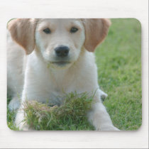 Puppy mousepads