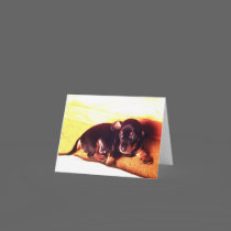 puppy notecard cards