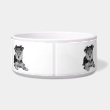 Puppy of the Yorkshire Terrier Dog Water Bowls
