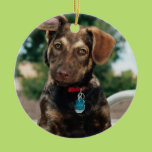 Puppy Ornaments