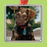Puppy Christmas Ornament