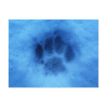 Puppy Paw postcards