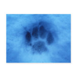 Puppy Paw postcards