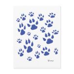 Puppy paws galore postcard