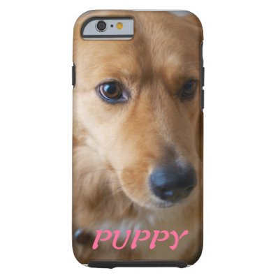 Puppy Pet Photo iPhone 6 case